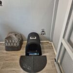 chat litière